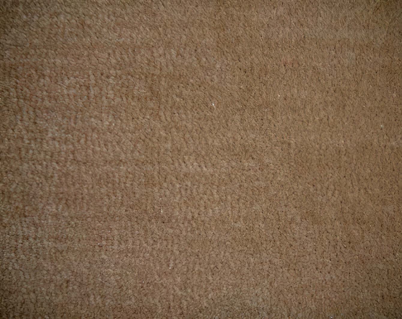 Machine Woven Carpets - Craigie Stockwell